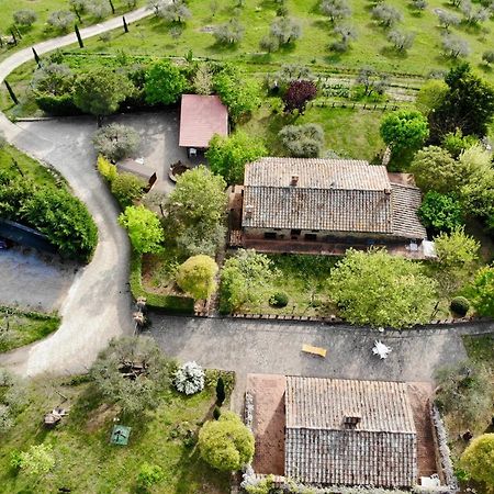 Agriturismo Panorama Sul Lago Passignano sul Trasimeno Exterior photo