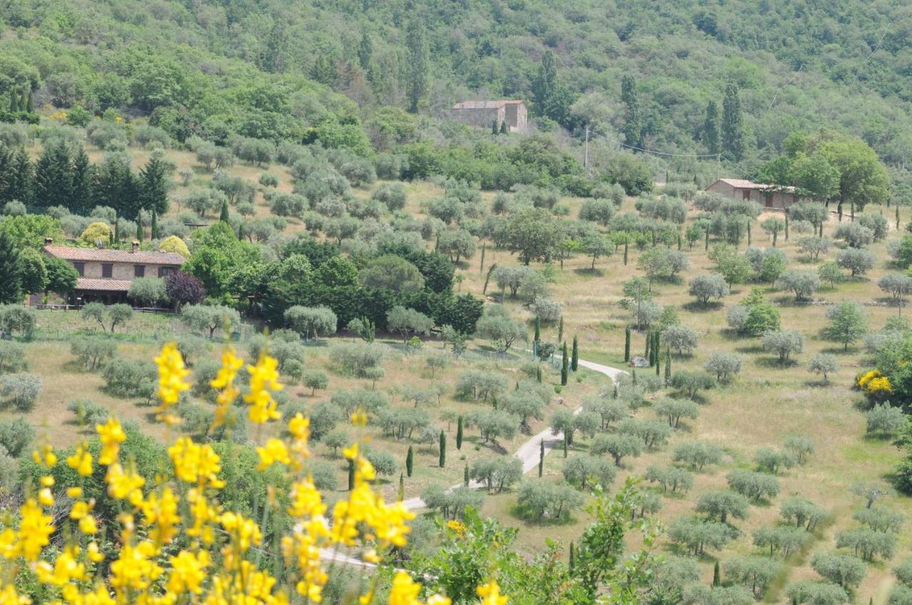 Agriturismo Panorama Sul Lago Passignano sul Trasimeno Exterior photo
